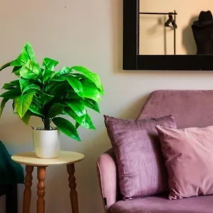  Apartment The Tropical House Albanien